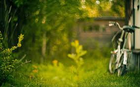 grass bike image
